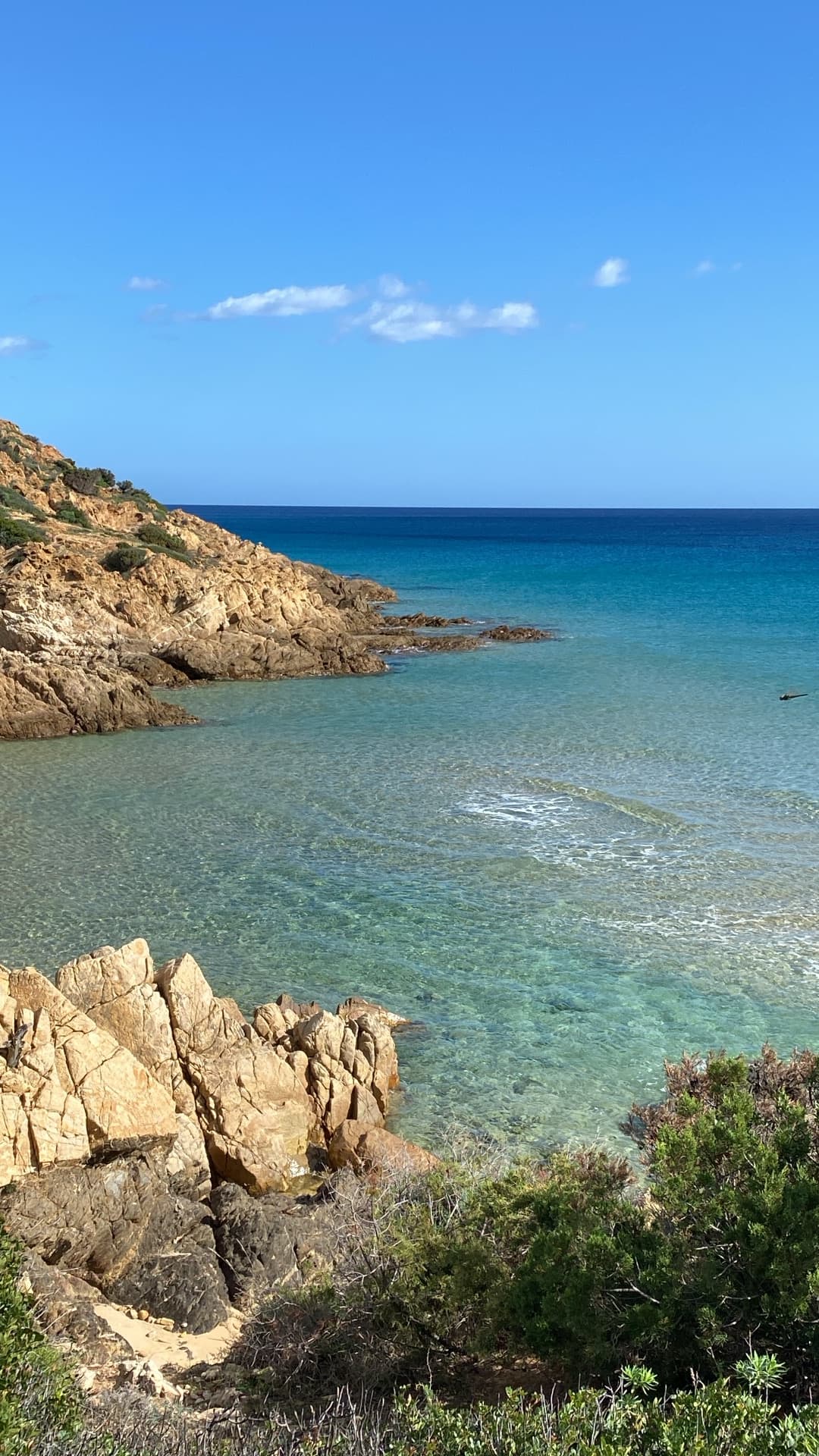 Cove