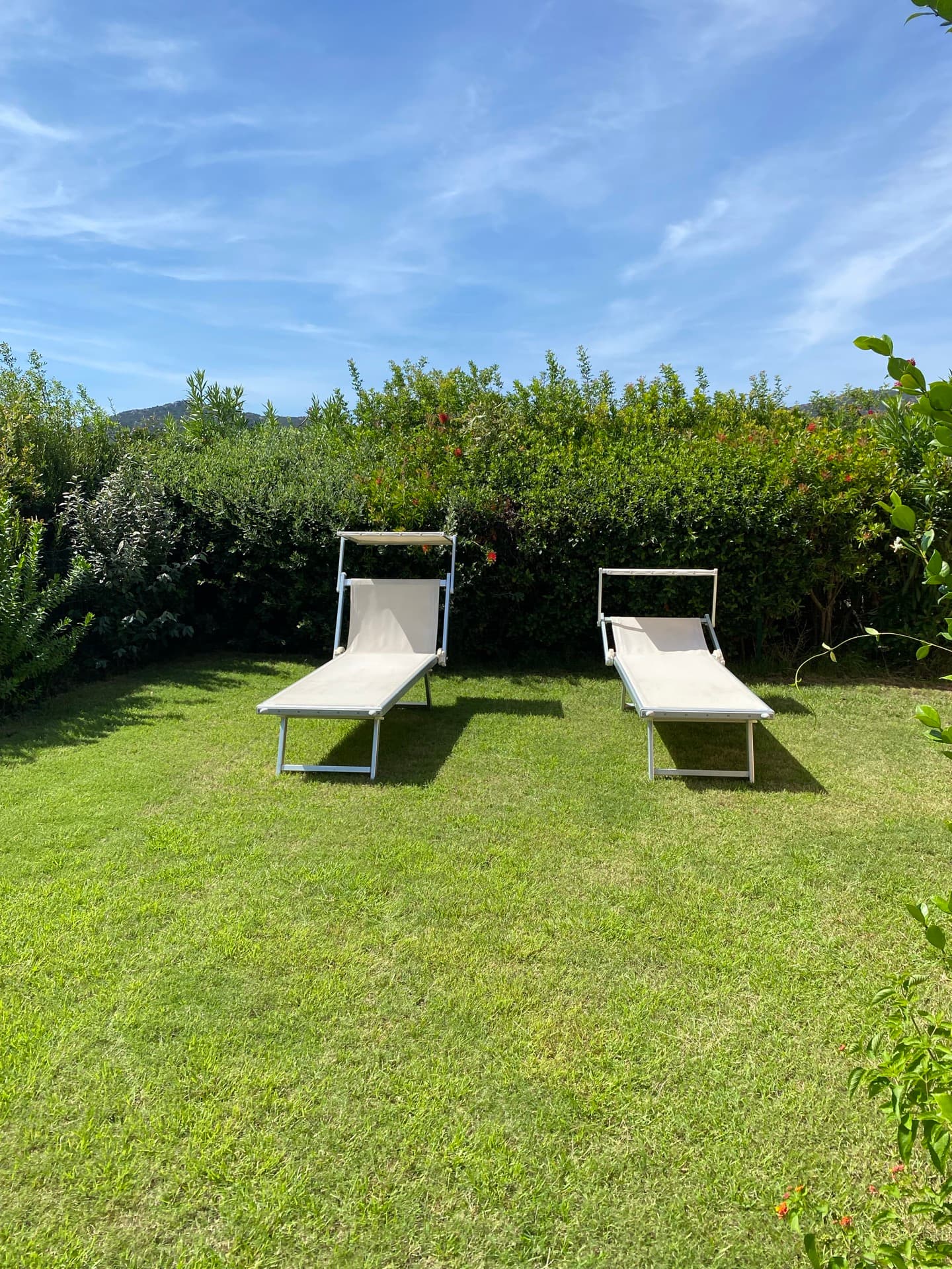 Garden loungers