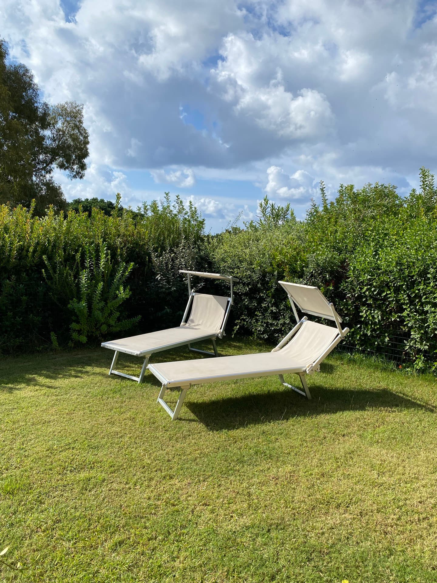 Garden loungers